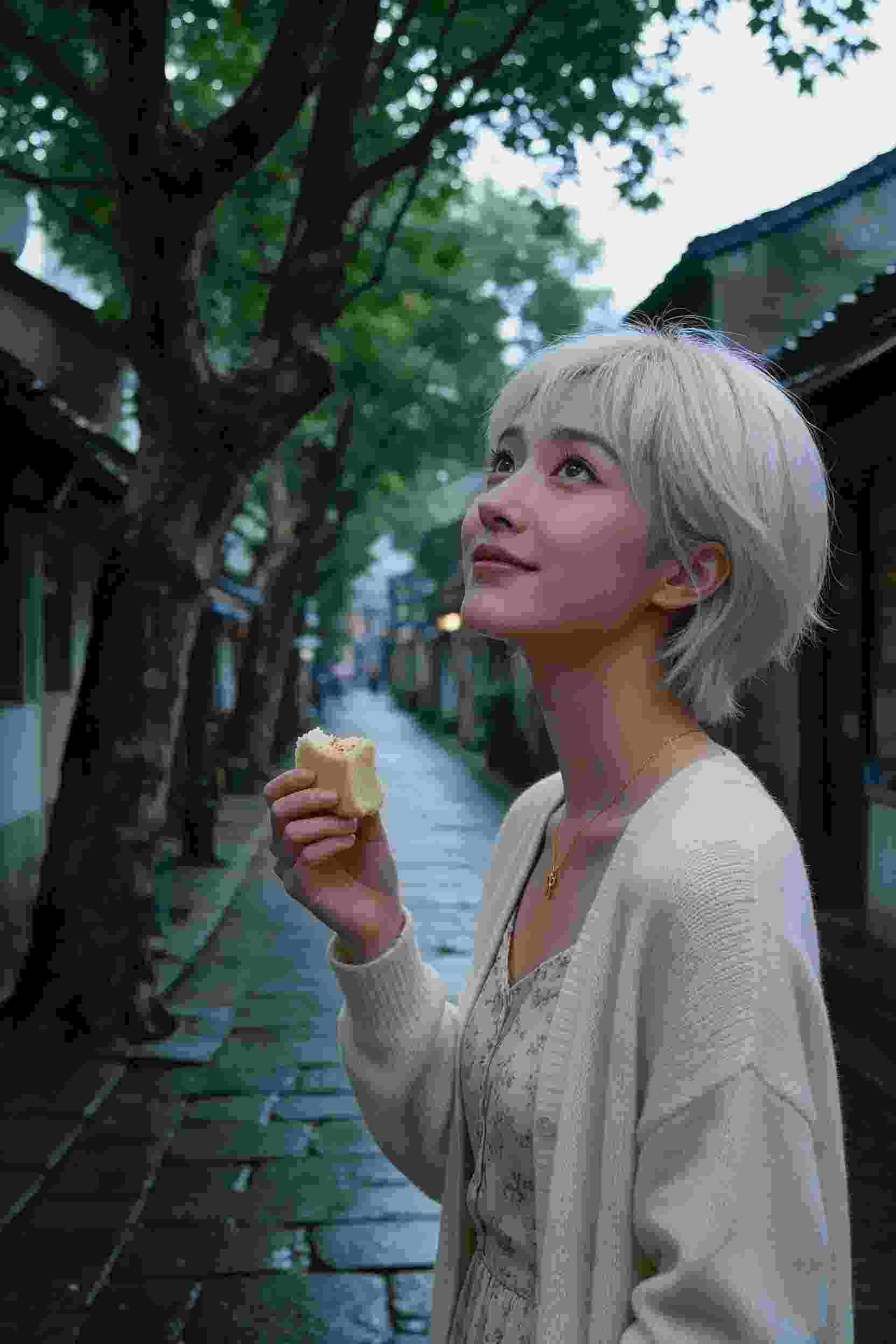 家的故事